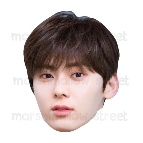 Hwang Min Hyun 1