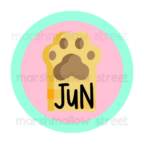 Jun Icon