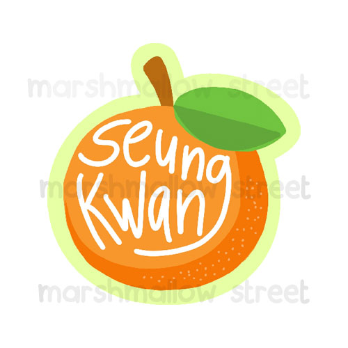 Seungkwan Icon