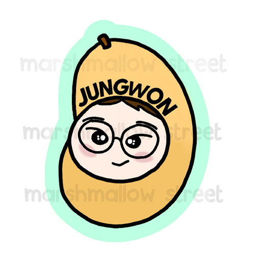 Jungwon icon