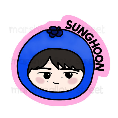 Sunghoon icon