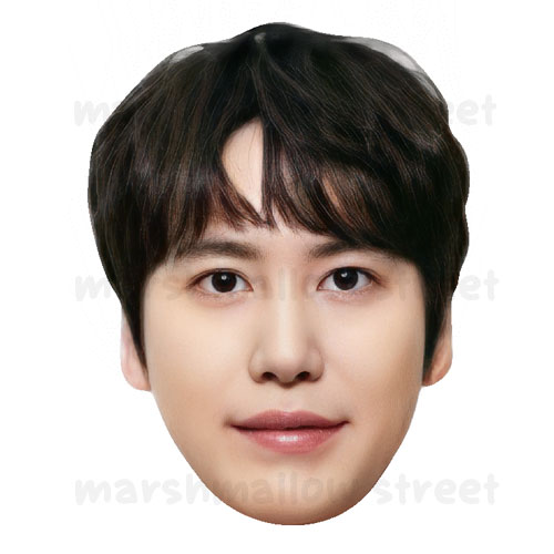 Suju Kyuhyun1